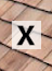 Shakes_Shingles glossary section 'X'